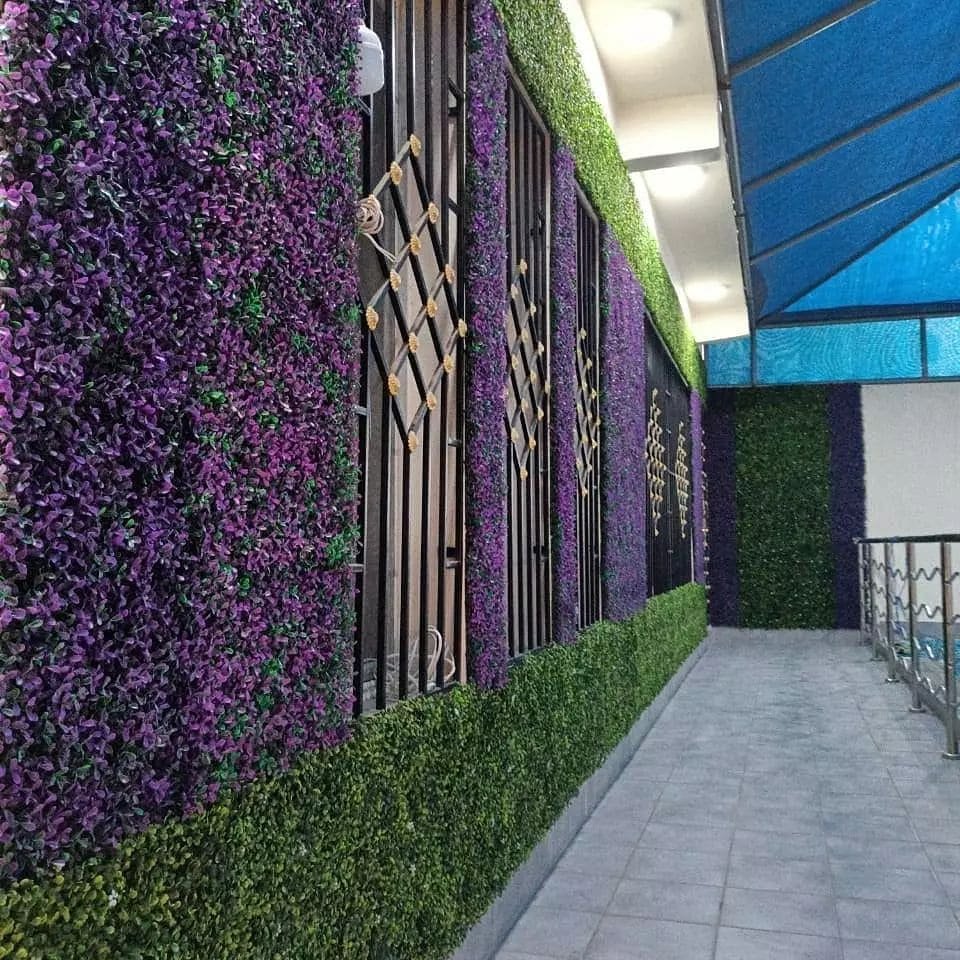 تركيب عشب جدارى بالرياض