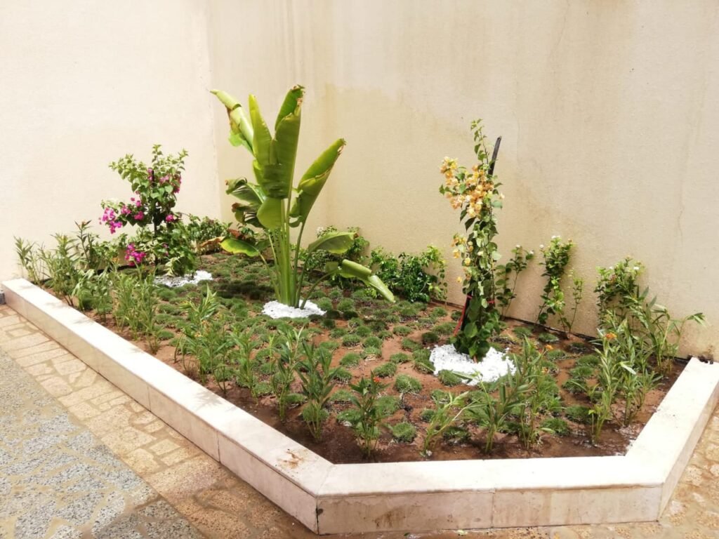 شركة بناء احواض زراعية بالرياض