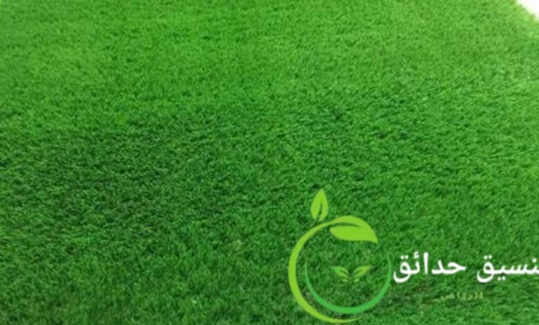 واحة خضراء بالثيل الطبيعي بالرياض