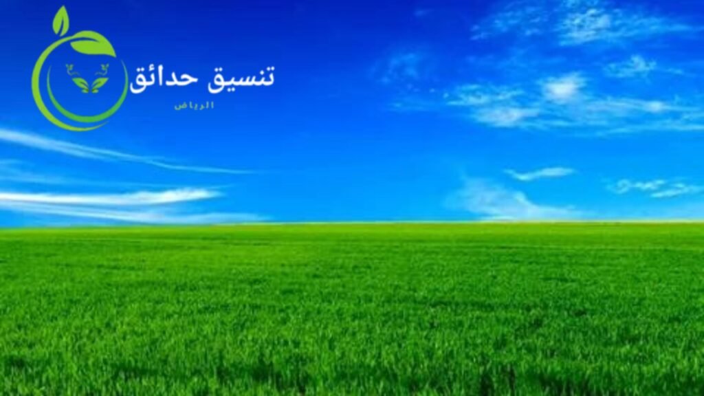 تركيب ثيل طبيعي بالرياض