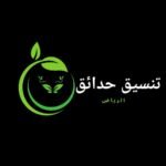 افض مساج بالكاسات في الرياض
