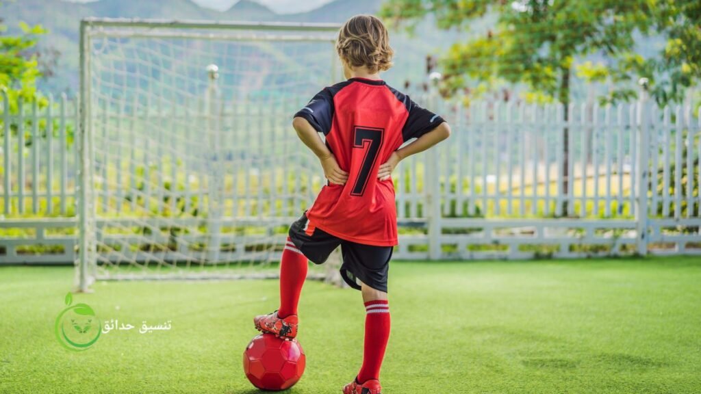 الملاعب الرياضية