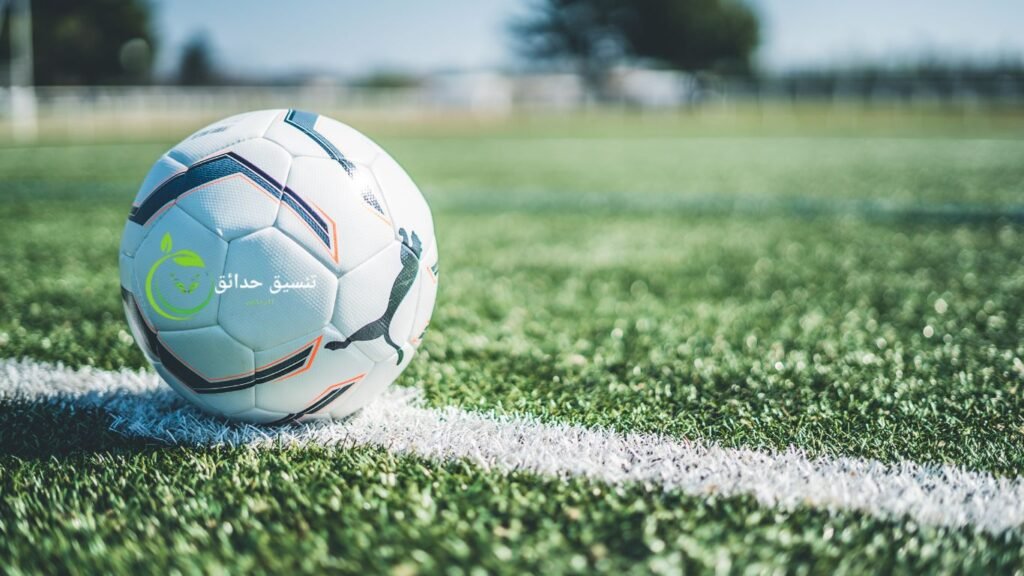 انشاء ملاعب رياضة