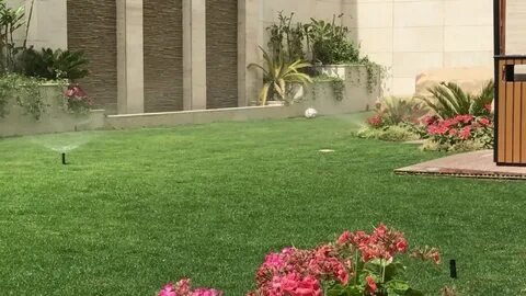 زراعة وتركيب ثيل طبيعي فى الرياض