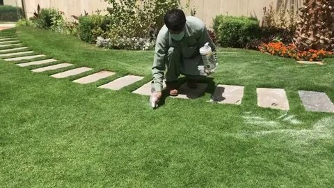 شركة زراعة ثيل طبيعي فى الرياض